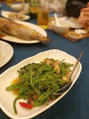 ท่าจีนชมจันทร์