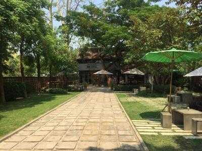 เมาดอกไม้