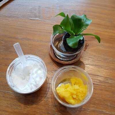 Turtle Homemade Ice Cream & Rabbit Bistro