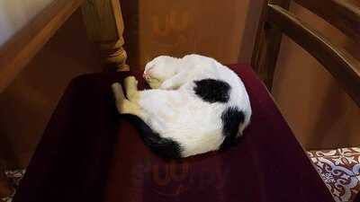 ลิเบอร์นาร์ด คาเฟ่ 