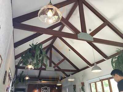 โซลมายด์