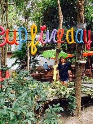 Cup Fine Day Coffee And Cuisine