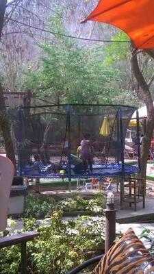 Cup Fine Day Coffee And Cuisine