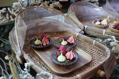 ฟอเรสต์ เบค