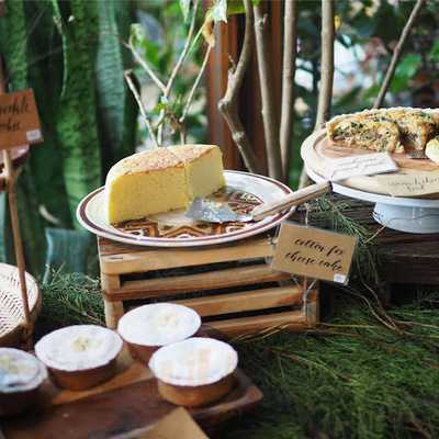 ฟอเรสต์ เบค