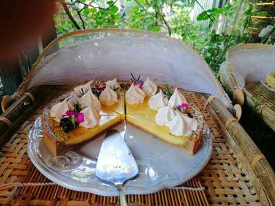 ฟอเรสต์ เบค