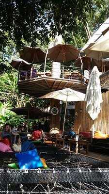 จังเกิ้ล เดอ คาเฟ่