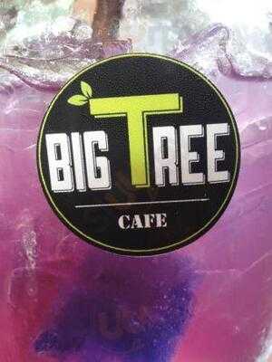 Big Tree