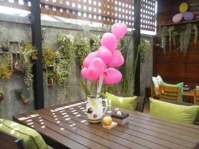 ฟรุ๊ต มาเนีย