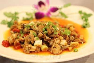 Chilli Village Company