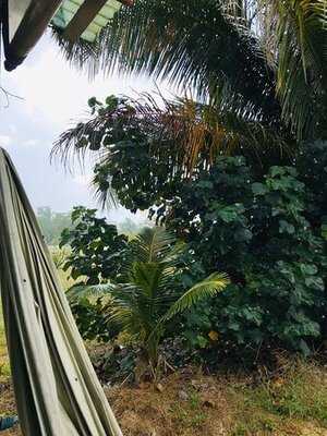 ครัวเจแอนด์เจ