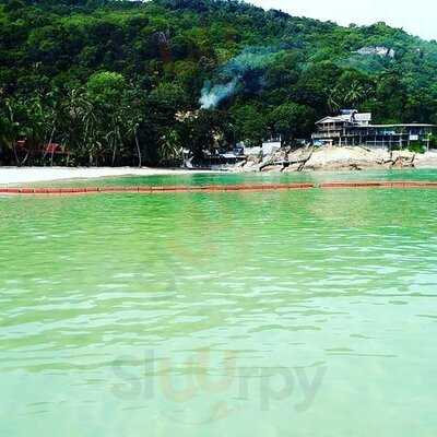 Same Same Restaurant & Bar