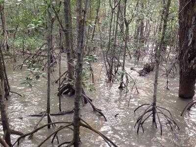 ร้านอาหาร ในอ่าวซีฟู้ด