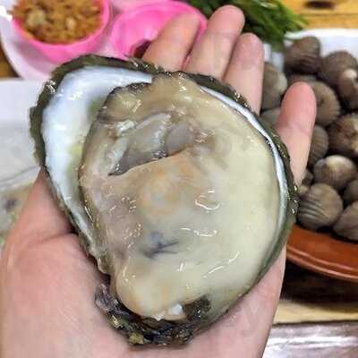 ป้ายาหอยสดสุราษฏร์ธานี