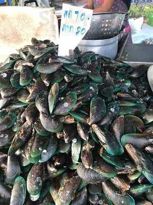 ป้ายาหอยสดสุราษฏร์ธานี