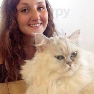 Workshop Coffee Space & Cathouse