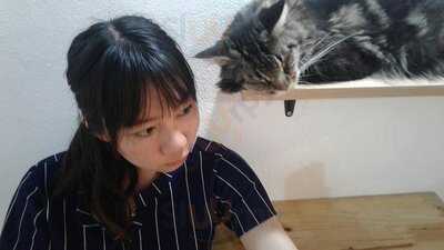 Workshop Coffee Space & Cathouse