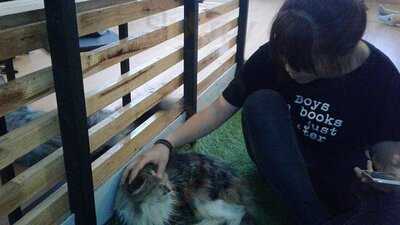 Workshop Coffee Space & Cathouse