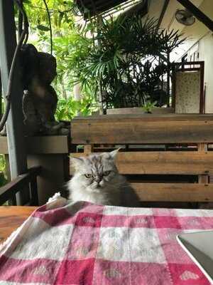 ครัวจามจุรี