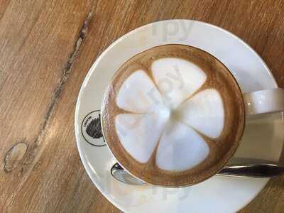 ลานา คอฟฟี่ 2