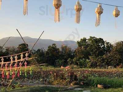 สวนอาหาร ครัวครูต้อย