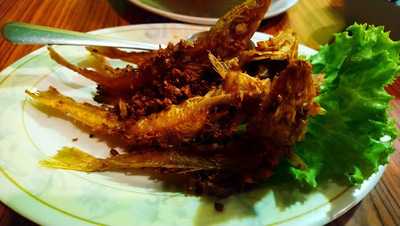 ครัวปลาดุก