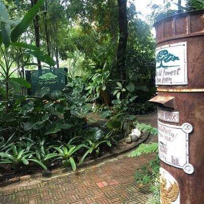 คาเฟ่ เดอ ฟอเรส 