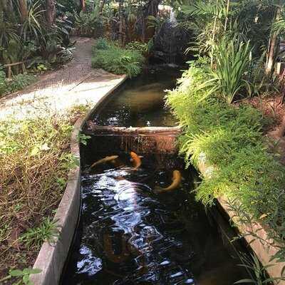 คาเฟ่ เดอ ฟอเรส 