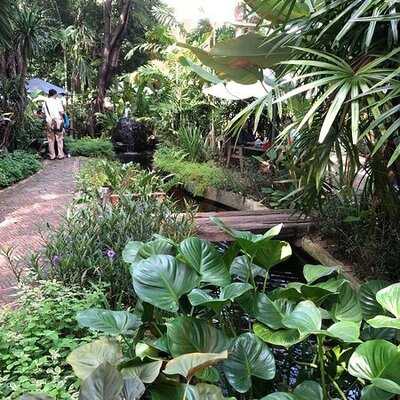 คาเฟ่ เดอ ฟอเรส 