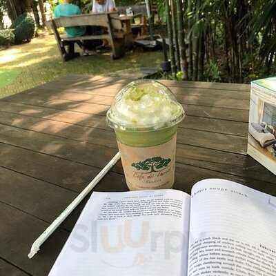 คาเฟ่ เดอ ฟอเรส 