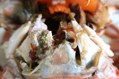 เรือนริมน้ำซีฟู๊ด