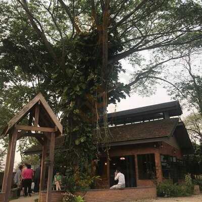 Polar Boulangerie And Patisserie