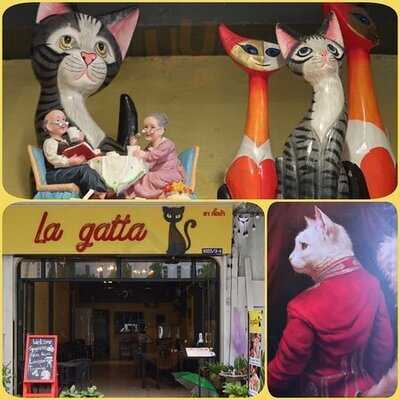 La Gatta