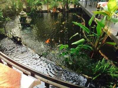 Stardust Bar & Grill