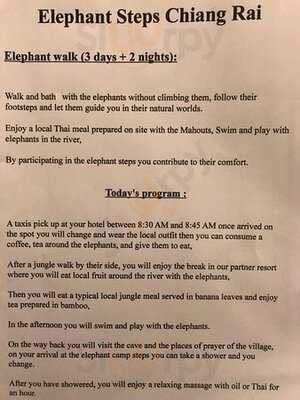 Agency & Coffee Elephant Steps