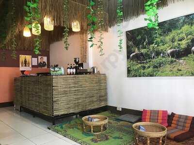 Agency & Coffee Elephant Steps