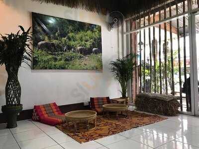 Agency & Coffee Elephant Steps