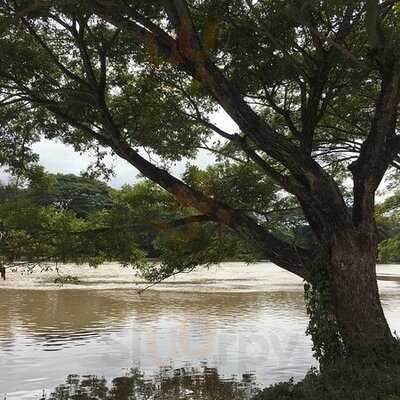 ดามา คาเฟ่