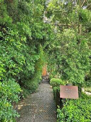 Melt In Your Mouth Chiang Rai