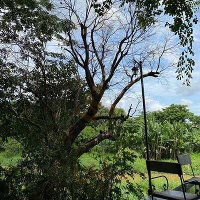 Melt In Your Mouth Chiang Rai