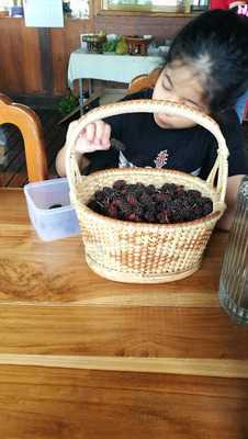 เฮือนอาหารบ้านกาแฟ