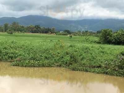 Art Bridge Chiangrai