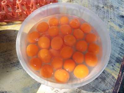 เดอะบิสโตร แอท เชียงราย คอนโดเทล