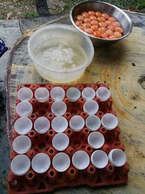 เดอะบิสโตร แอท เชียงราย คอนโดเทล