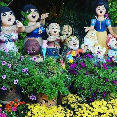 ร้านอาหาร มุมไม้