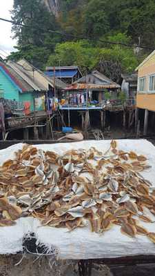 อินฟินิตี้พูล บาร์ เขาหลัก