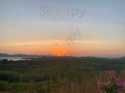 ไรซ์ แพดดี้