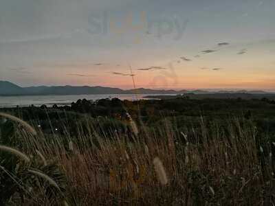 ไรซ์ แพดดี้