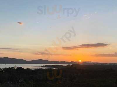 ไรซ์ แพดดี้