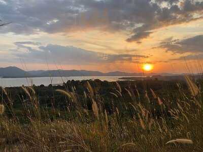 ไรซ์ แพดดี้